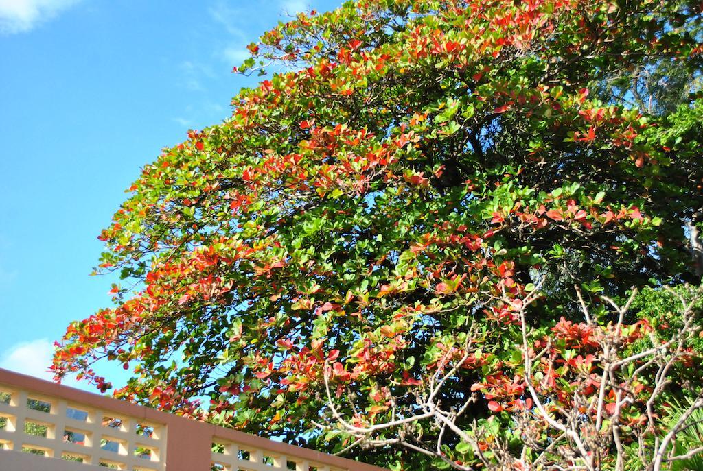 Hotel Imperial Cap-Haïtien Esterno foto